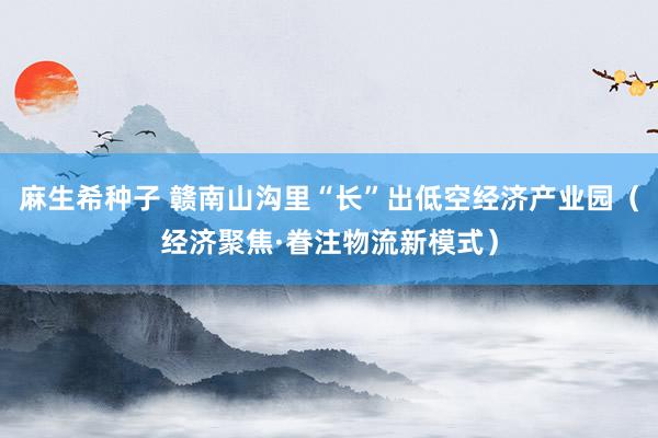 麻生希种子 赣南山沟里“长”出低空经济产业园（经济聚焦·眷注物流新模式）