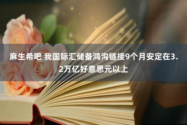 麻生希吧 我国际汇储备鸿沟链接9个月安定在3.2万亿好意思元以上