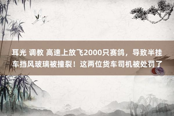 耳光 调教 高速上放飞2000只赛鸽，导致半挂车挡风玻璃被撞裂！这两位货车司机被处罚了