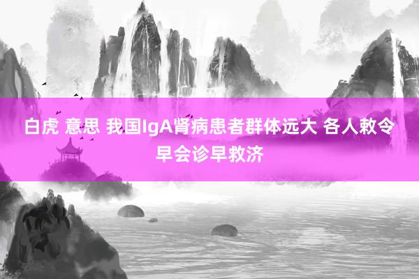 白虎 意思 我国IgA肾病患者群体远大 各人敕令早会诊早救济