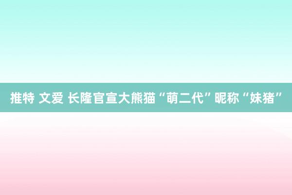 推特 文爱 长隆官宣大熊猫“萌二代”昵称“妹猪”