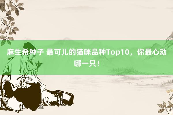 麻生希种子 最可儿的猫咪品种Top10，你最心动哪一只！