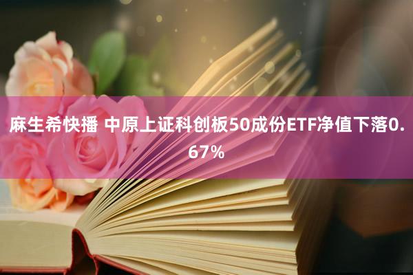 麻生希快播 中原上证科创板50成份ETF净值下落0.67%