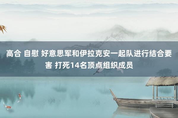 高合 自慰 好意思军和伊拉克安一起队进行结合要害 打死14名顶点组织成员