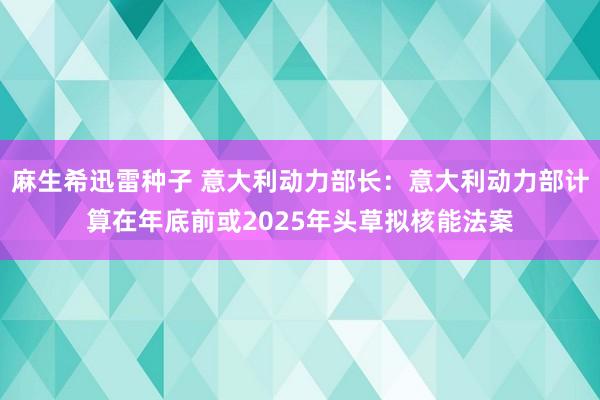 麻生希迅雷种子 意大利动力部长：意大利动力部计算在年底前或2025年头草拟核能法案