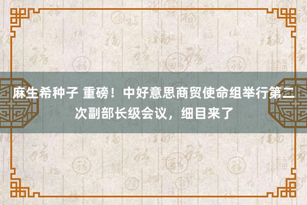 麻生希种子 重磅！中好意思商贸使命组举行第二次副部长级会议，细目来了