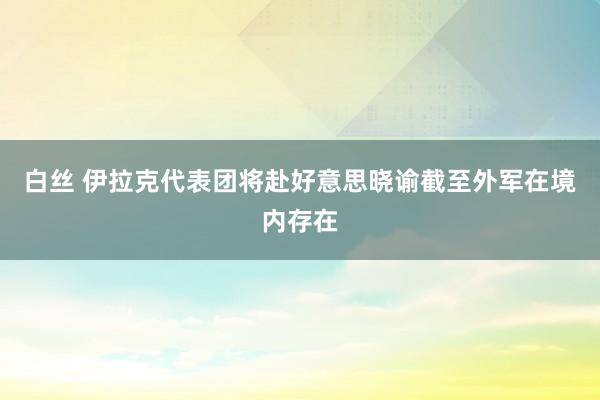 白丝 伊拉克代表团将赴好意思晓谕截至外军在境内存在