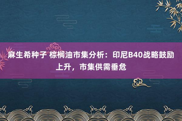 麻生希种子 棕榈油市集分析：印尼B40战略鼓励上升，市集供需垂危