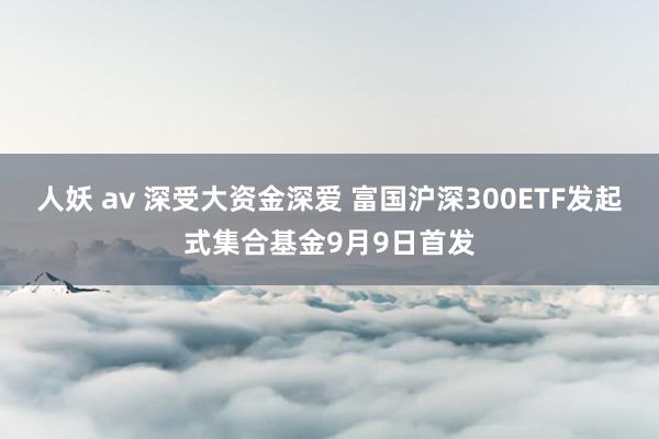 人妖 av 深受大资金深爱 富国沪深300ETF发起式集合基金9月9日首发