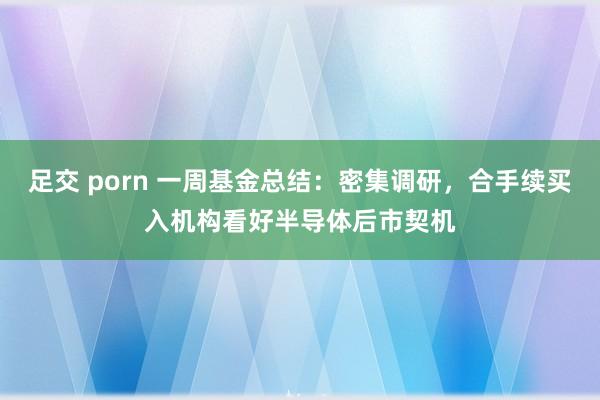 足交 porn 一周基金总结：密集调研，合手续买入机构看好半导体后市契机