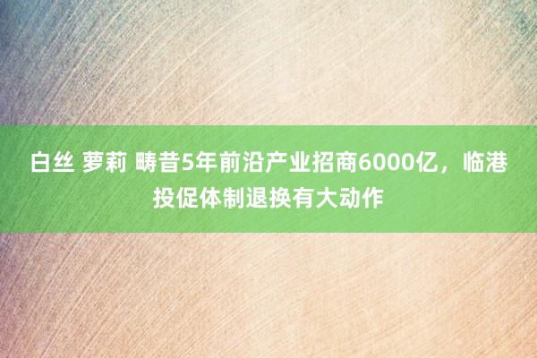 白丝 萝莉 畴昔5年前沿产业招商6000亿，临港投促体制退换有大动作