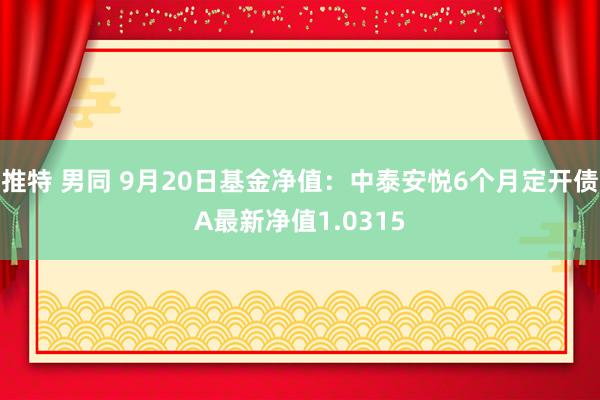 推特 男同 9月20日基金净值：中泰安悦6个月定开债A最新净值1.0315