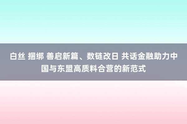 白丝 捆绑 善启新篇、数链改日 共话金融助力中国与东盟高质料合营的新范式