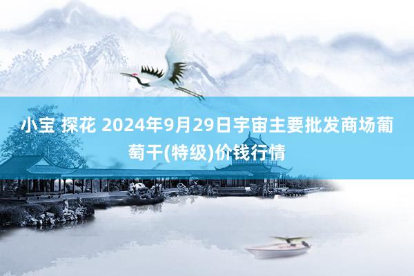 小宝 探花 2024年9月29日宇宙主要批发商场葡萄干(特级)价钱行情