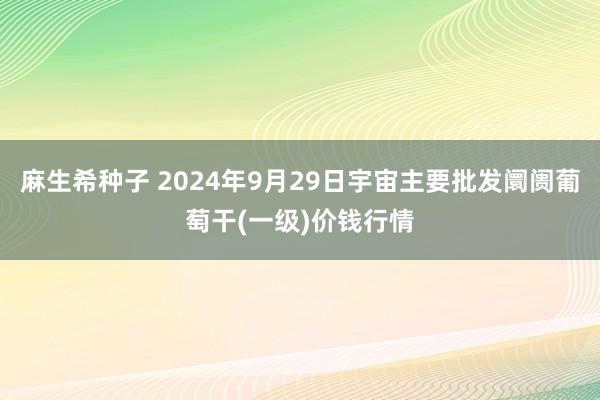 麻生希种子 2024年9月29日宇宙主要批发阛阓葡萄干(一级)价钱行情