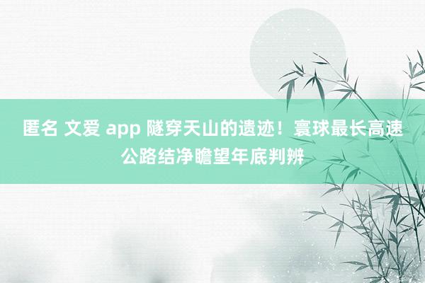 匿名 文爱 app 隧穿天山的遗迹！寰球最长高速公路结净瞻望年底判辨