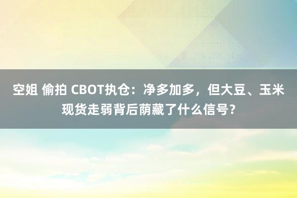 空姐 偷拍 CBOT执仓：净多加多，但大豆、玉米现货走弱背后荫藏了什么信号？