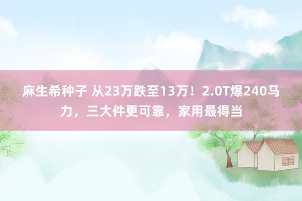 麻生希种子 从23万跌至13万！2.0T爆240马力，三大件更可靠，家用最得当