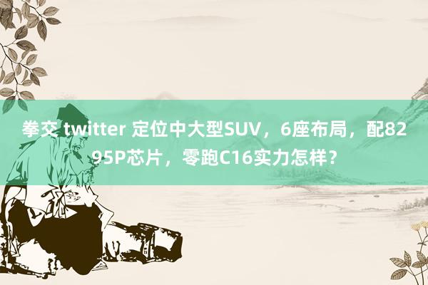 拳交 twitter 定位中大型SUV，6座布局，配8295P芯片，零跑C16实力怎样？