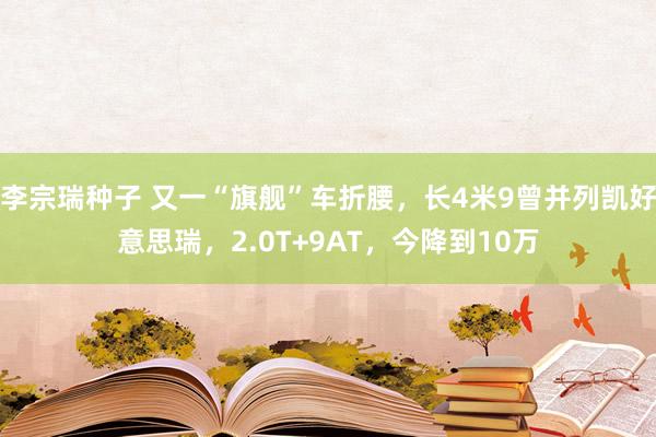 李宗瑞种子 又一“旗舰”车折腰，长4米9曾并列凯好意思瑞，2.0T+9AT，今降到10万