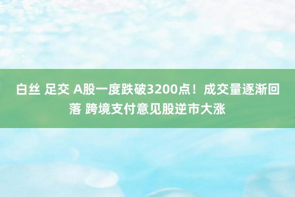 白丝 足交 A股一度跌破3200点！成交量逐渐回落 跨境支付意见股逆市大涨