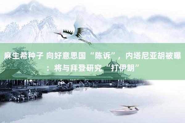 麻生希种子 向好意思国 “陈诉”，内塔尼亚胡被曝：将与拜登研究 “打伊朗”