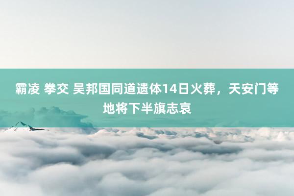 霸凌 拳交 吴邦国同道遗体14日火葬，天安门等地将下半旗志哀