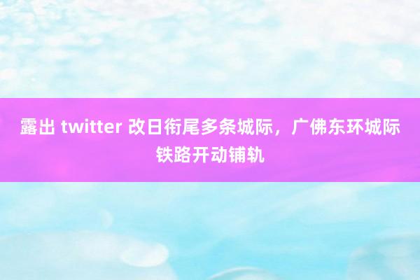 露出 twitter 改日衔尾多条城际，广佛东环城际铁路开动铺轨