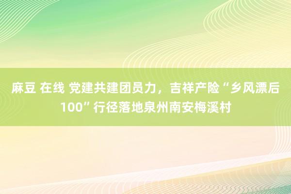 麻豆 在线 党建共建团员力，吉祥产险“乡风漂后100”行径落地泉州南安梅溪村