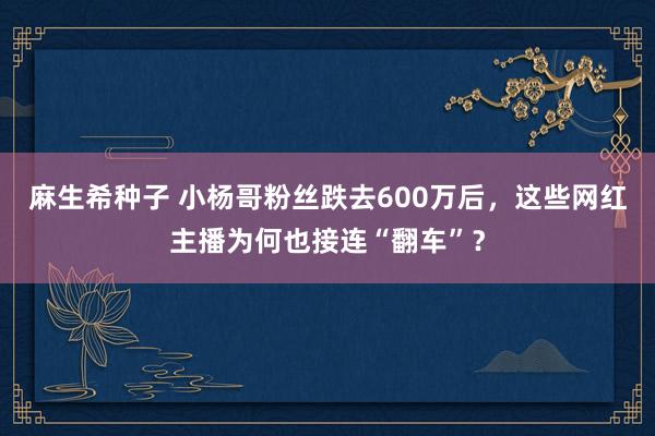 麻生希种子 小杨哥粉丝跌去600万后，这些网红主播为何也接连“翻车”？