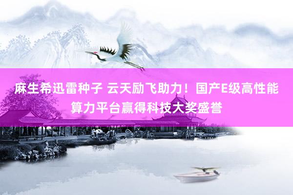 麻生希迅雷种子 云天励飞助力！国产E级高性能算力平台赢得科技大奖盛誉