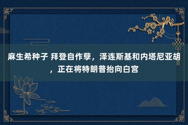 麻生希种子 拜登自作孽，泽连斯基和内塔尼亚胡，正在将特朗普抬向白宫