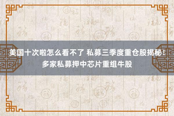 美国十次啦怎么看不了 私募三季度重仓股揭秘！多家私募押中芯片重组牛股