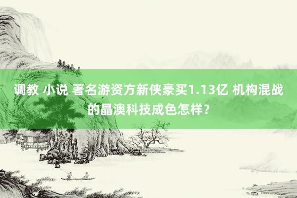 调教 小说 著名游资方新侠豪买1.13亿 机构混战的晶澳科技成色怎样？