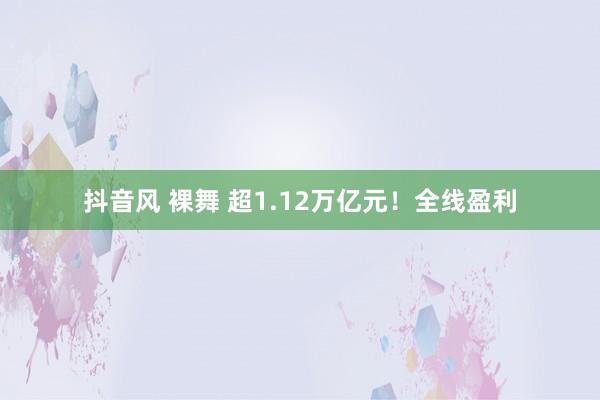 抖音风 裸舞 超1.12万亿元！全线盈利