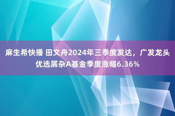 麻生希快播 田文舟2024年三季度发达，广发龙头优选羼杂A基金季度涨幅6.36%