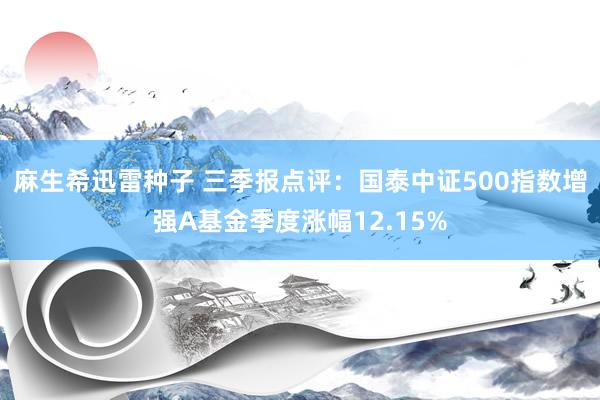 麻生希迅雷种子 三季报点评：国泰中证500指数增强A基金季度涨幅12.15%