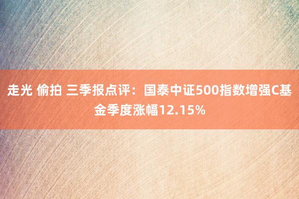 走光 偷拍 三季报点评：国泰中证500指数增强C基金季度涨幅12.15%