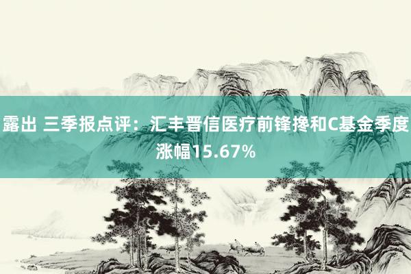 露出 三季报点评：汇丰晋信医疗前锋搀和C基金季度涨幅15.67%