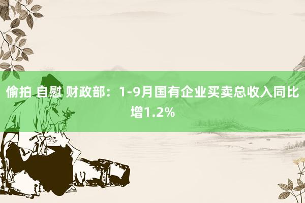 偷拍 自慰 财政部：1-9月国有企业买卖总收入同比增1.2%