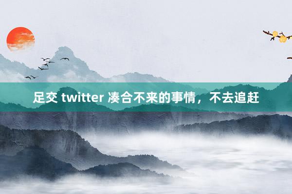 足交 twitter 凑合不来的事情，不去追赶