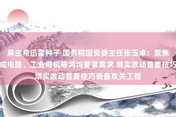 麻生希迅雷种子 国务院国资委主任张玉卓：聚焦航空航天、集成电路、工业母机等鸿沟要紧需求 塌实激动首要技巧装备攻关工程