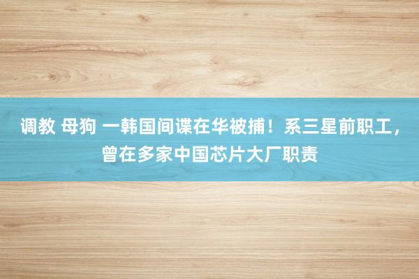 调教 母狗 一韩国间谍在华被捕！系三星前职工，曾在多家中国芯片大厂职责