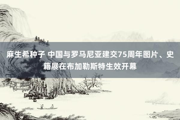 麻生希种子 中国与罗马尼亚建交75周年图片、史籍展在布加勒斯特生效开幕