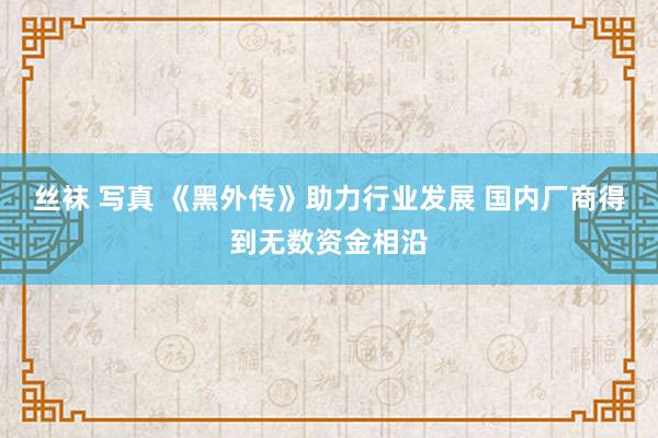 丝袜 写真 《黑外传》助力行业发展 国内厂商得到无数资金相沿