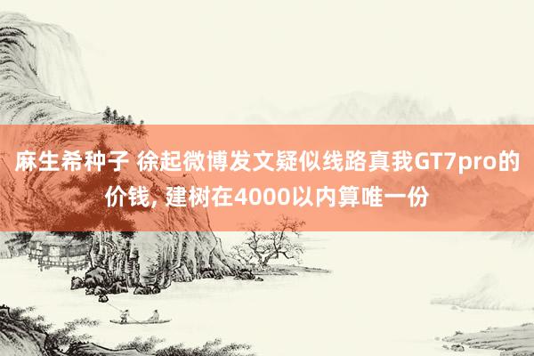 麻生希种子 徐起微博发文疑似线路真我GT7pro的价钱， 建树在4000以内算唯一份