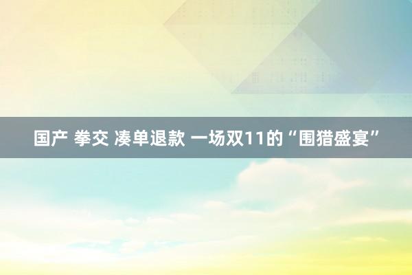 国产 拳交 凑单退款 一场双11的“围猎盛宴”