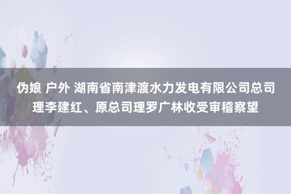 伪娘 户外 湖南省南津渡水力发电有限公司总司理李建红、原总司理罗广林收受审稽察望