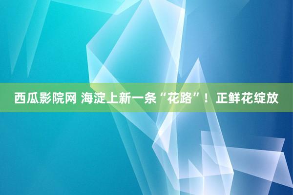 西瓜影院网 海淀上新一条“花路”！正鲜花绽放