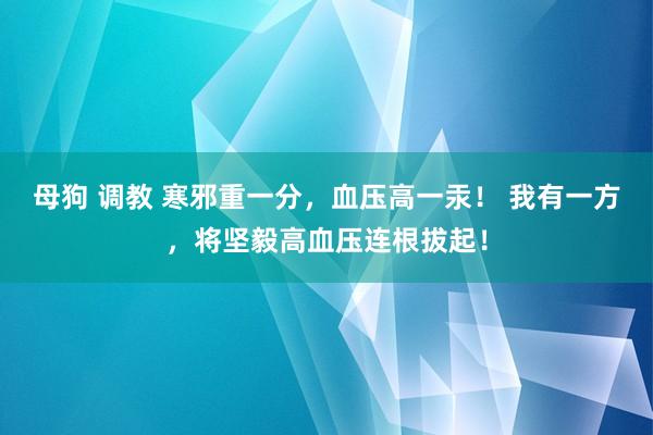 母狗 调教 寒邪重一分，血压高一汞！ 我有一方，将坚毅高血压连根拔起！